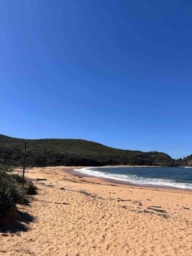 Bouddi Coastal Walk