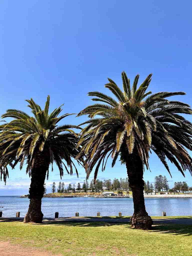 Kiama Black Beach Reserve