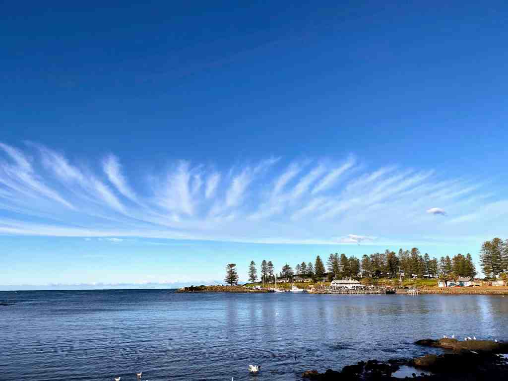 View from Black Beach Reserve in Kiama