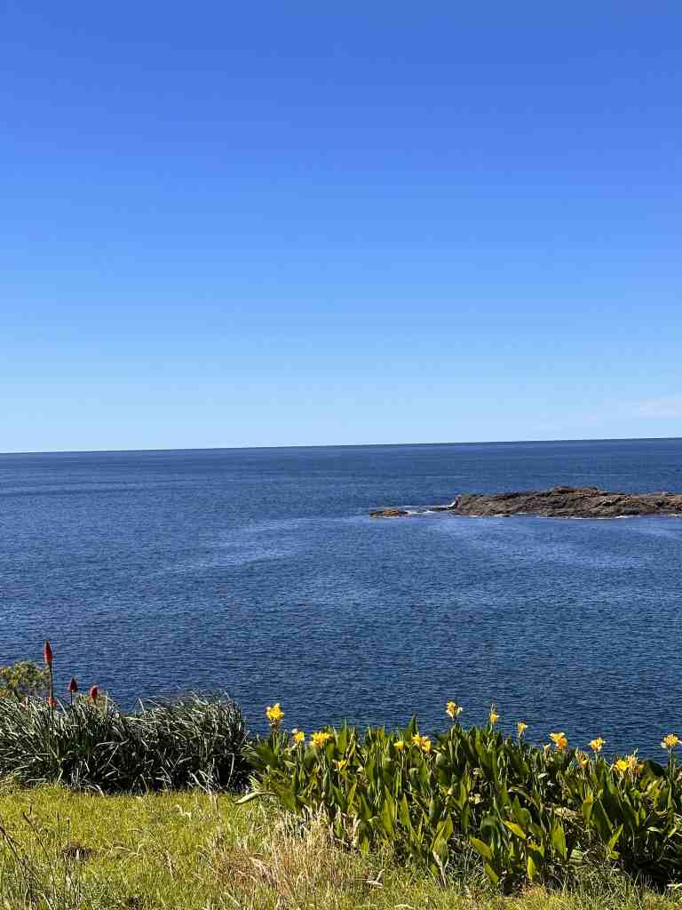 Kiama Coastal Walk Views