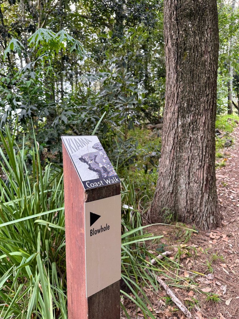 Kiama Coastal Walk