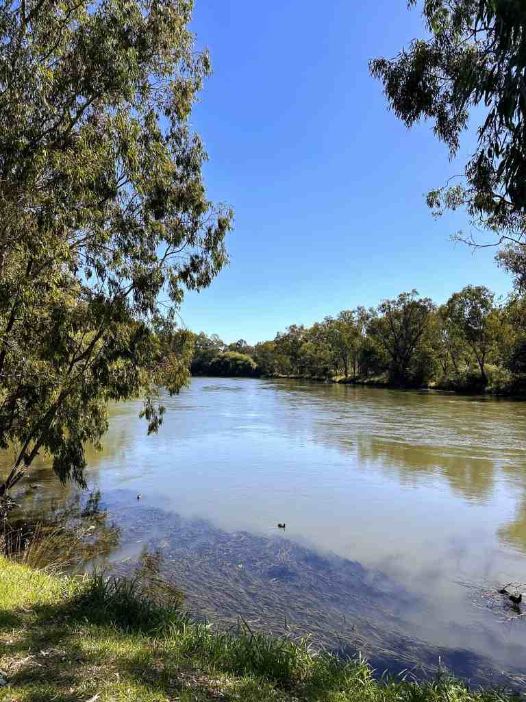 Albury river walk