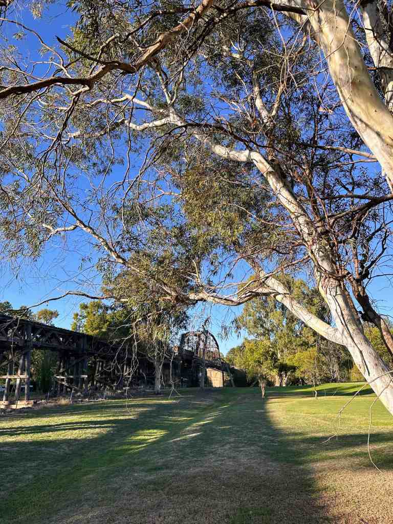 Historic Bridge, Gundagai