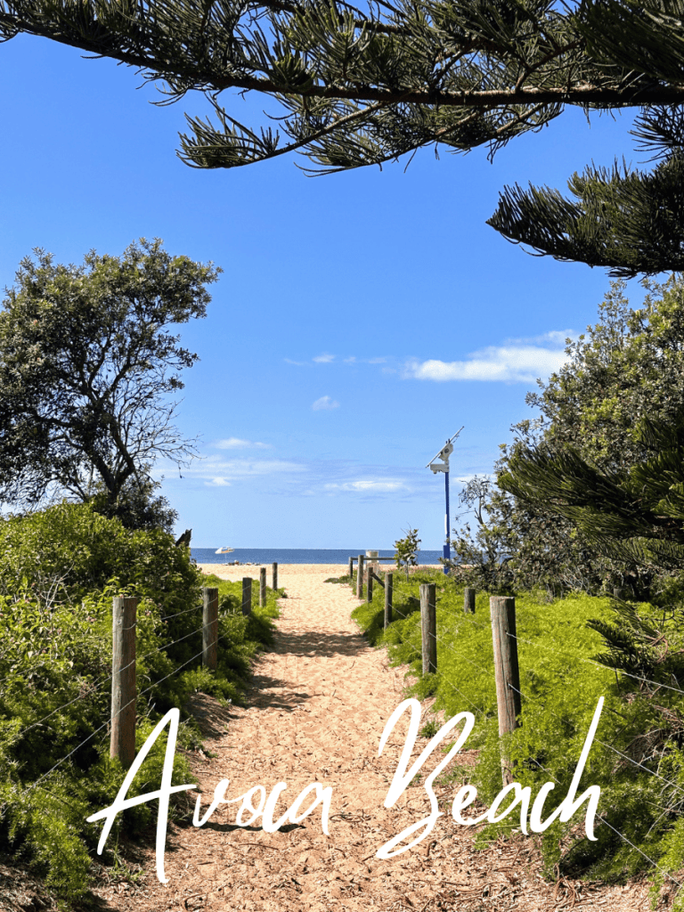 Avoca Beach, NSW