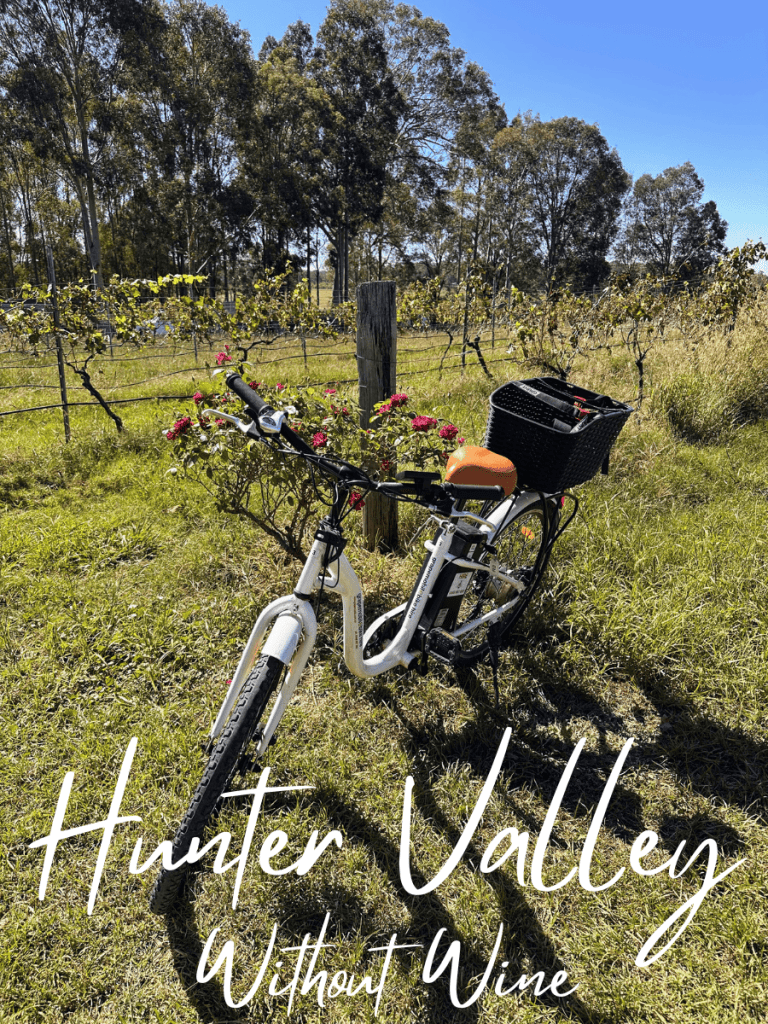 Hunter Valley Without Wine