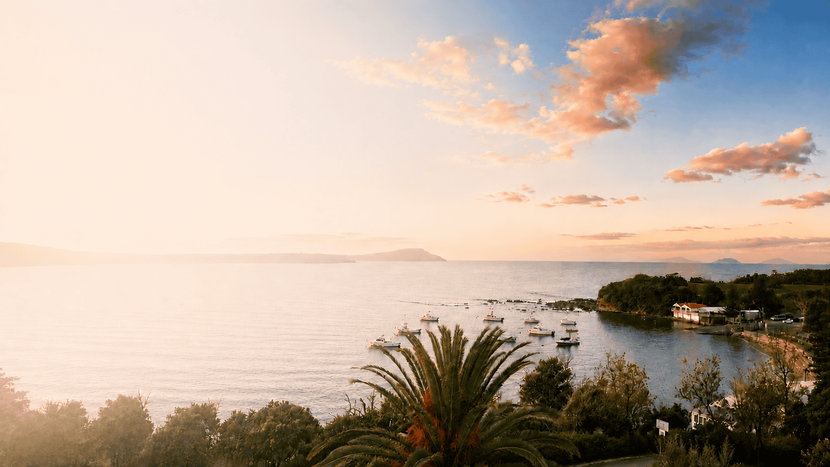 Terrigal beach home image basic